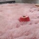 thumbnail image 5 of 26-27 Round Rug Shaggy Plush Carpet Soft Faux Sheepskin Fur Area Rugs for Bedroom Living Room Floor White Home Floor Mat Bedside Rugs, 5 of 5