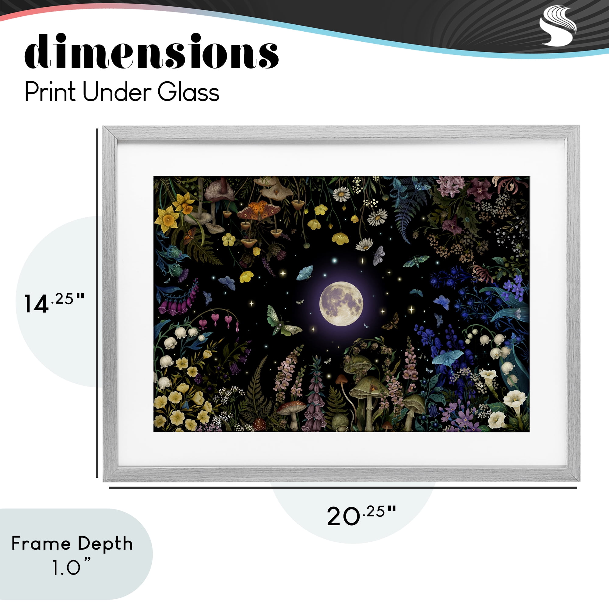 Stupell Industries Night Garden with Moth Gray Framed Print Under Glass, design by Episodic Drawings