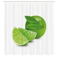 thumbnail image 2 of Ambesonne Lime Shower Curtain, Whole Sliced Citrus Fruit View, 69"Wx75"L, Fern Green and White, 2 of 4