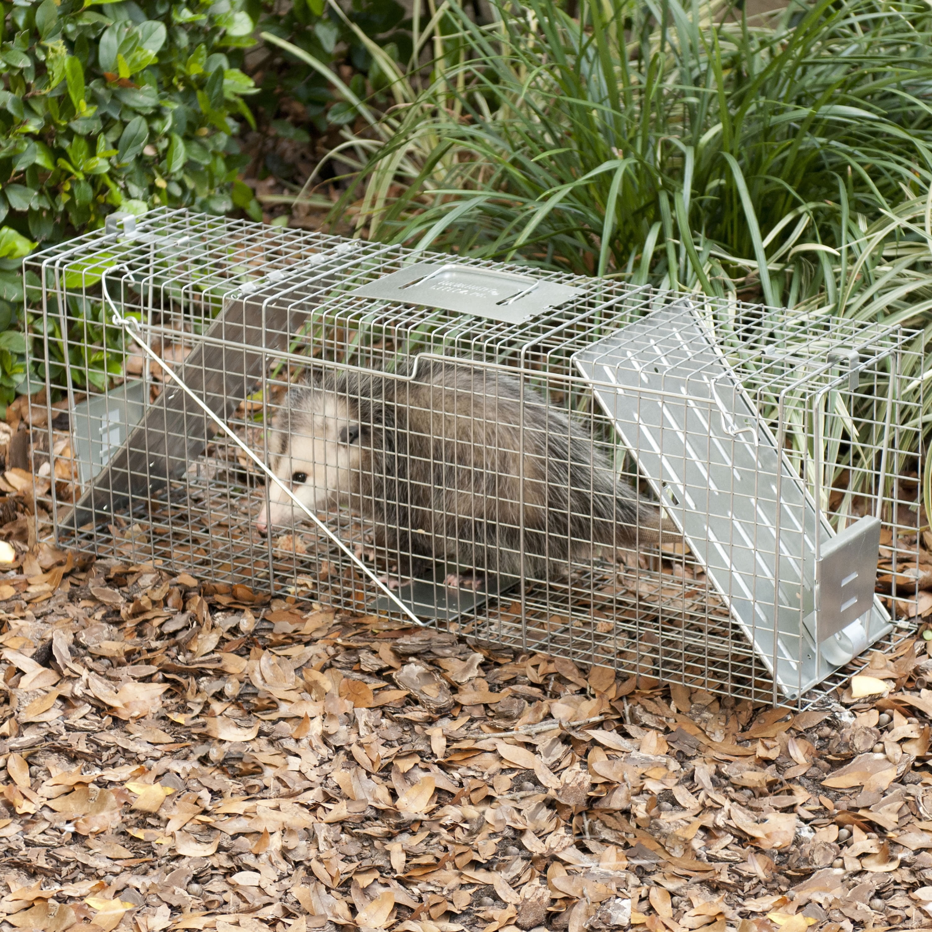 Woodstream Havahart Mouse Size Humane Live Animal Trap - Feeders