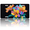 Colorful Flowers, variant on 1 Pcs License Plate Covers & Frames, Deer in Autumn Night Forest For Decorative Front, Waterproof For Decoration Aluminum License Plate Covers & Frames Cover For Men Women, 12" X 6"
