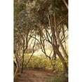 thumbnail image 3 of Millet, Karyn 17x24 Black Modern Framed Museum Art Print Titled - Secret Garden I, 3 of 5