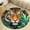Flannel-3, variant on Tiger in Jungle Leaves Round Area Rugs for Bedroom Living Room, 4FT Soft Comfy Indoor Circle Carpets, Floor Mat