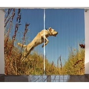 Hunting Decor Curtains 2 Panels Set, Purebred Labrador Retriever Jumping in a Field Blue Sky Rural Outdoors Photo, Window Drapes for Living Room Bedroom, 108W X 90L Inches, Multicolor, by Ambesonne