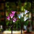 thumbnail image 1 of Outdoor Solar Garden Stake Lights, 2 Pack Solar Powered Flower Lights With 8 Lily Flower, Multi-colo, 1 of 5