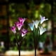 thumbnail image 1 of Outdoor Solar Garden Stake Lights, 2 Pack Solar Powered Flower Lights With 8 Lily Flower, Multi-colo, 1 of 5