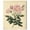 Gallery Wrapped, variant on French Rose Canvas Vintage Botanical by Art Remedy, Black Frame, 24 x 30