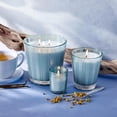 thumbnail image 2 of Vela votiva NEST New York Driftwood & Manzanilla, 60 ml, 2 of 4
