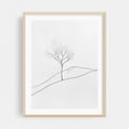 thumbnail image 2 of Modern Botanical Line Art - Line Drawing Line Art Minimalist Nature Black and White Abstract Botanical Landscape Unframed Wall Art Print 9 x 12 inches, 2 of 4