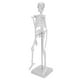 thumbnail image 3 of Modelo de esqueleto humano de 45cm, extremidades móviles, enseñanza anatómica, modelo de aprendizaje, suministros científicos, 3 of 5