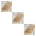 thumbnail image 3 of Wosthever 50 UNIDS Plumas de pavo Vestido de novia DIY Joyería Decoración Accesorios decorativos Plumas 10 -15 cm Type1 NO1, 3 of 6