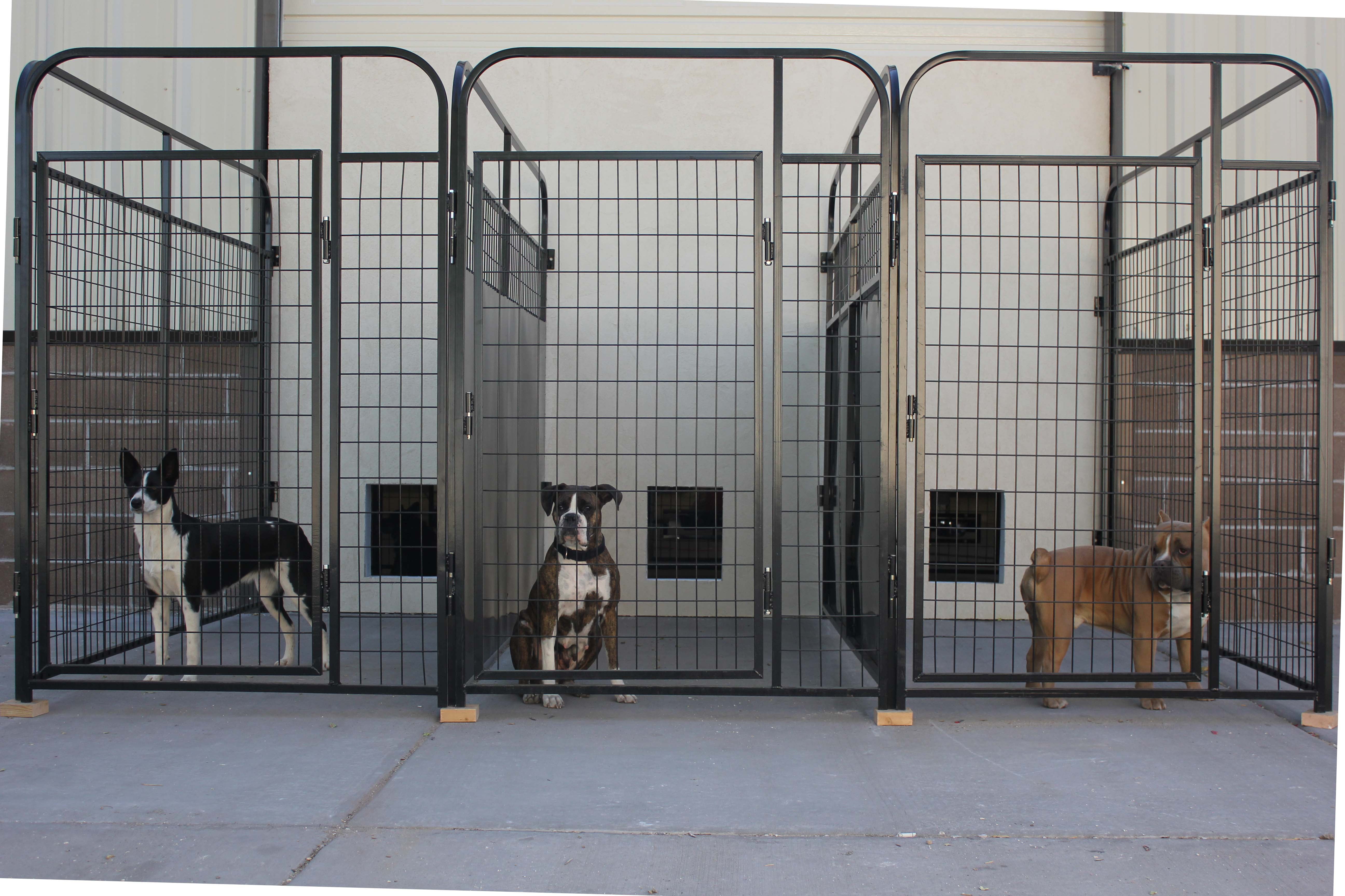 outside dog kennels