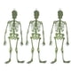thumbnail image 1 of Xihbxyly Esqueleto de Calavera Luminoso, Decoración de Halloween Brillante, Extremidades Móviles para Divertirse En Fiestas, Decoración de Terror, Bromas Espeluznantes, Uso Interior y Exterior, Tamañ, 1 of 2