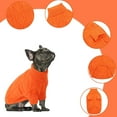 thumbnail image 4 of Queenmore Suéter para perro pequeño, ropa de punto para clima frío, cuello alto clásico, ropa gruesa y cálida para chihuahua, bulldog, perro salchicha, pug, yorkie (verde, pequeño), 4 of 5