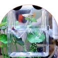 thumbnail image 4 of OFFIGAM Transparent Plastic Fish Breeding for Hatchery - , Efficient Fish Box for, 4 of 6