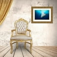 thumbnail image 3 of Marchegiani, Roberto 32x23 Gold Ornate Wood Framed with Double Matting Museum Art Print Titled - Manta Fly, 3 of 4