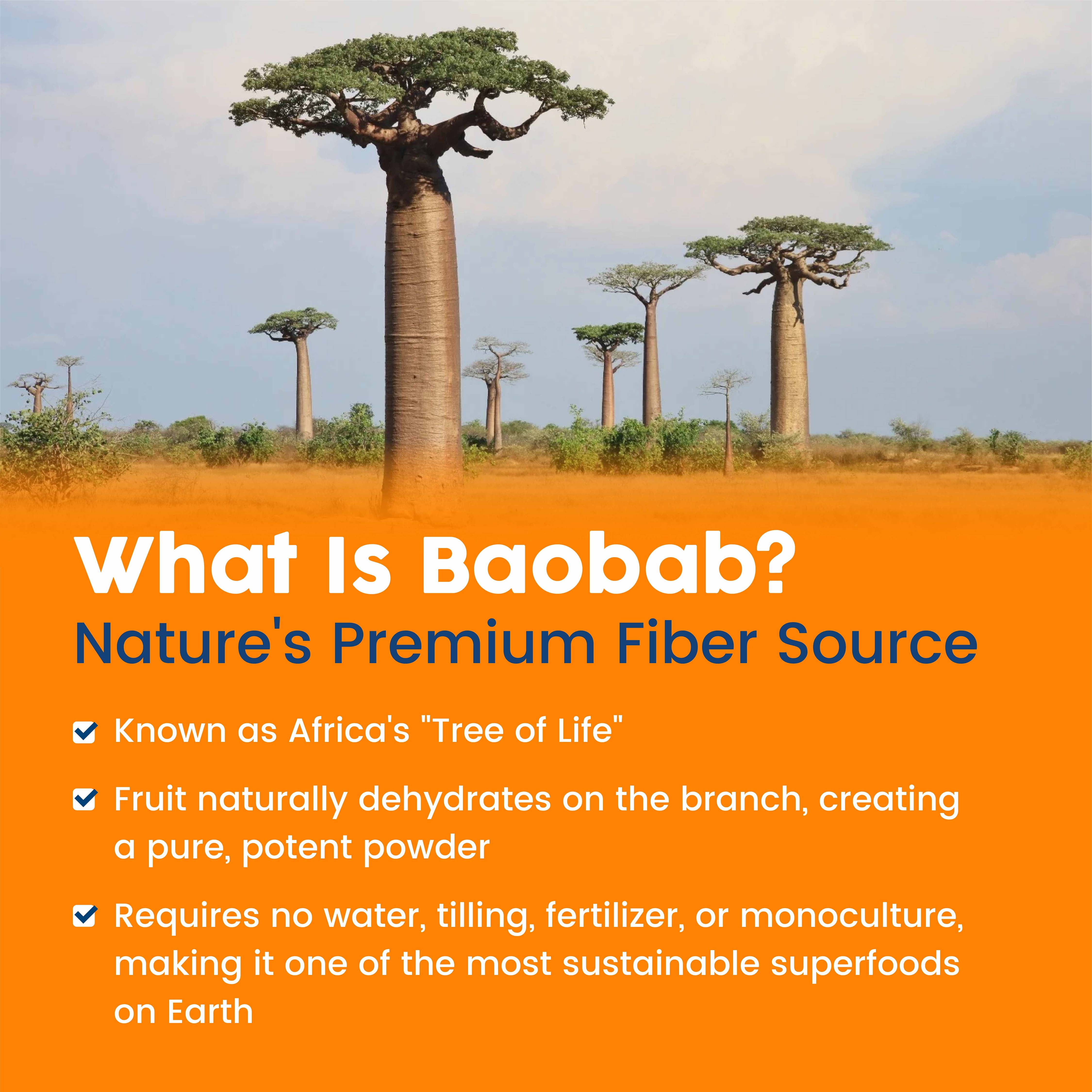 NativePath Organic Baobab Prebiotic Fiber Powder with L-Glutamine, Orange, Sugar-Free, 30 Servings