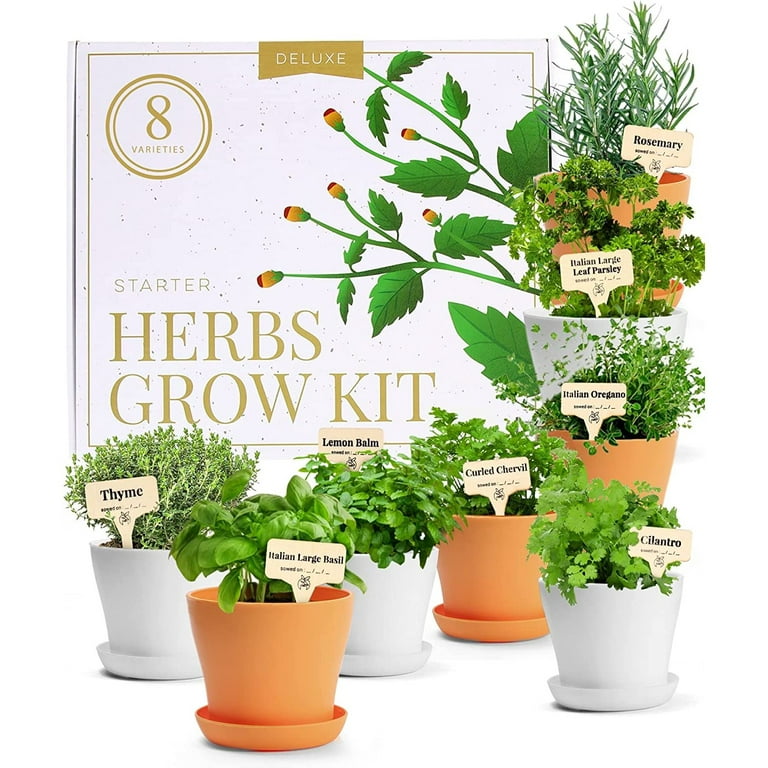 Deluxe Herb Garden Kit – Unique Gardening Gifts for Women - 8 Variety  Culinary Herb Garden Kit Indoor & Outdoor – Cooking Gifts for Gardeners,  Plant Gifts for Mom Who Has Everything
