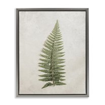 Stupell Industries Detailed Fern Frond Botanical & Floral Painting Gray Floater Framed Art Print Wall Art, 17 x 21