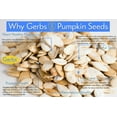 thumbnail image 4 of Jumbo Lightly Sea Salted Pumpkin Seeds In Shell by Gerbs - 2 LBS. - Top 14 Food Allergen Free & Non GMO - Vegan & Kosher, 4 of 5