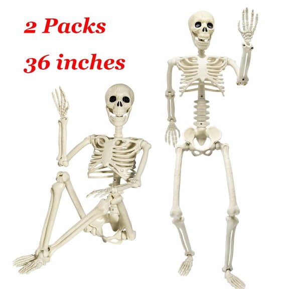 COSTYLE 2 Pack 36" Skeleton Halloween Decorations, Full Body Movable Posable Joints Skeleton, Creepy Halloween Decorations for Indoor Outdoor