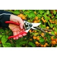 thumbnail image 3 of Felco 9 Ergonomic Left Hand Version, 3 of 3