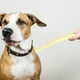 thumbnail image 4 of ColoMX Cepillo de dientes suave para mascotas, cepillo de dientes para perros y gatos, cepillo de dientes con mango largo y cabeza puntiaguda para razas pequeñas, cachorros, mascotas, cuidado bucal, 4 of 8