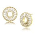 thumbnail image 1 of Boucles d'Oreilles en Acier Inoxydable avec AAA Grade CZ in Clear, 1 of 1