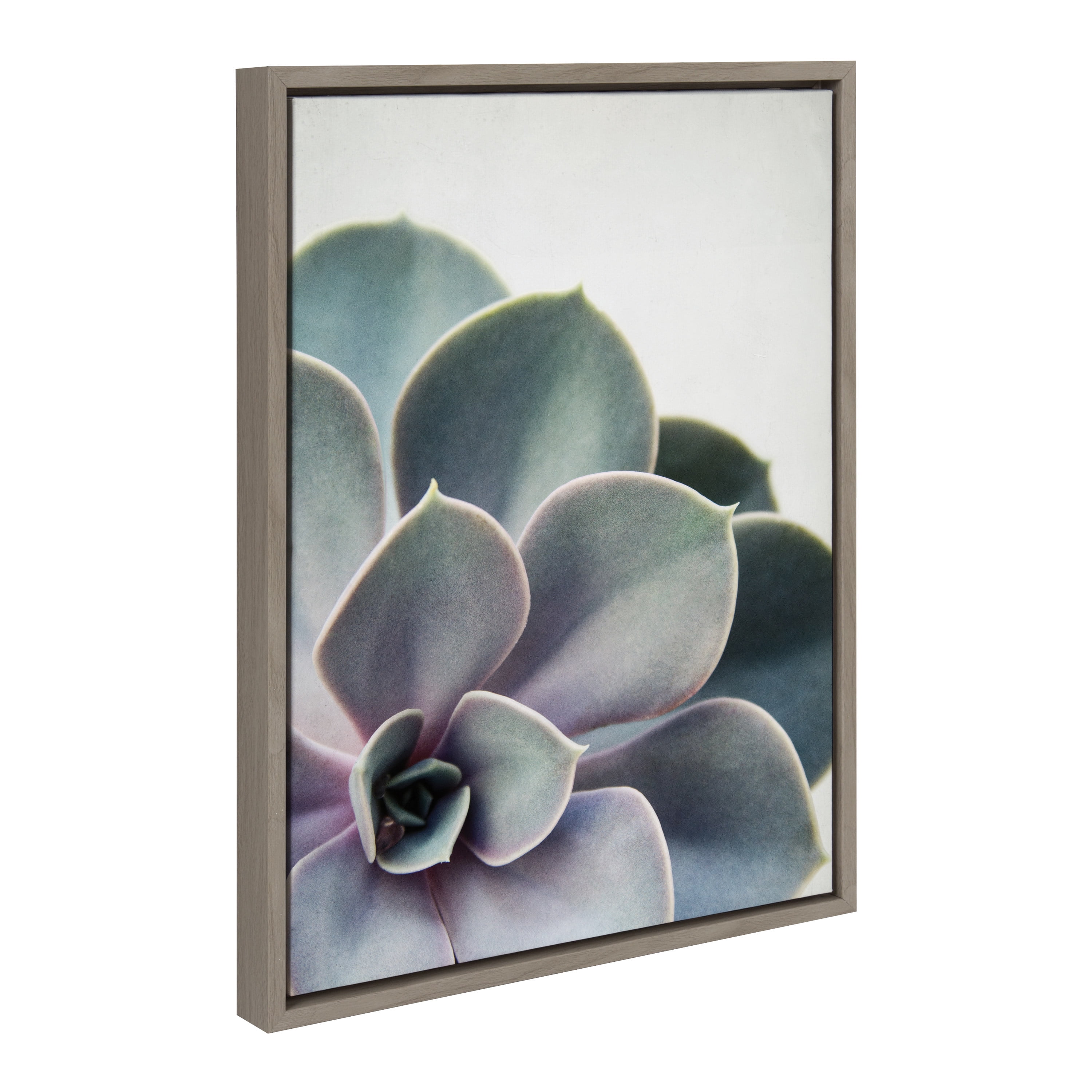 Kate and Laurel Sylvie Succulent 5 Framed Canvas by F2 Images, 18x24 Gray