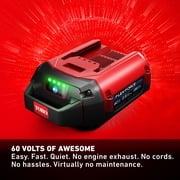 Toro 60-Volt Brushless Cordless Leaf Blower w/2.5 Ah Battery and Charger
