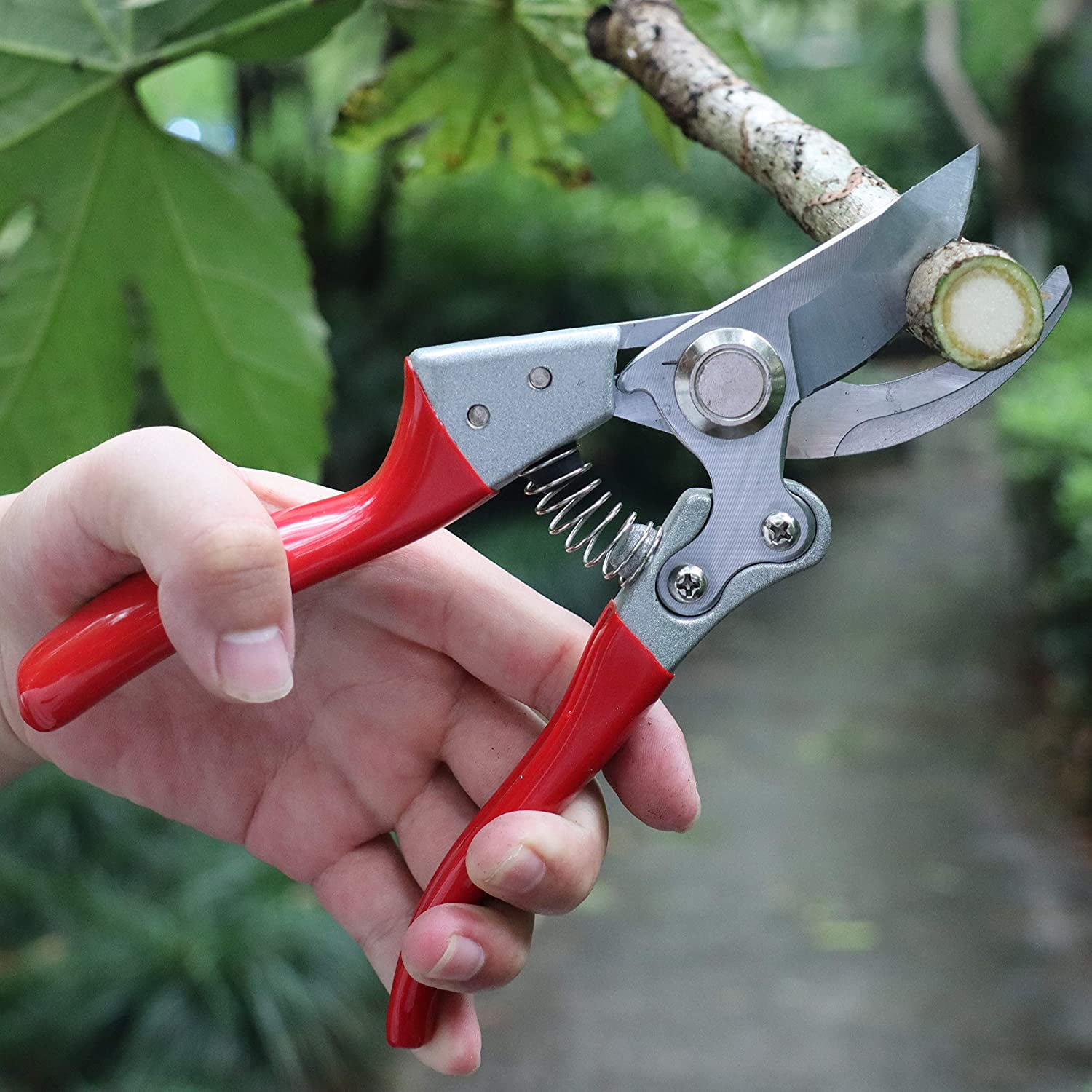 Heavy Duty Pruning Shears 8" Bypass Pruner Landscapers/Gardeners Cutting Tool 