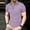 Purple a, variant on Mens Polo Shirts, Casual Big and Tall Shirt Collared Solid Short Sleeved Summer Purple Polo Shirts for Men Size L