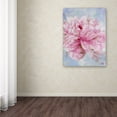 thumbnail image 4 of Li Bo 'Pink Peonie II' Canvas Art, 4 of 4