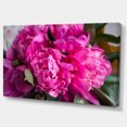 thumbnail image 2 of Pink Peonies on Wooden Background - Flower Artwork on Canvas, 2 of 3