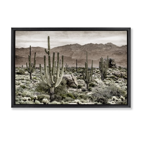Stupell Industries Rustic Lodge Desert Land Cacti Wilderness Black Floating Frame Canvas Art, 25 x 17, by Kim Allen