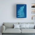 thumbnail image 3 of Unknown 'Cyanotype Ferns IX' Canvas Art, 3 of 3