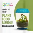thumbnail image 4 of Live Venus Flytrap Kit with Carnivorous Plant Food, Tweezers & 4.5" Blue Terrarium – Indoor Bug-Eating STEM Gift for Kids & Adults Fly Trap, 4 of 9