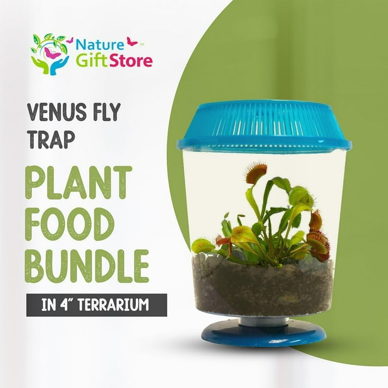 floor plant stand 6-Tier Wood Plant Stand