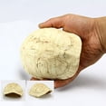 thumbnail image 1 of UPOUART 1Ud Cueva Natural Para Reptiles Con Material De Resina Ideal Para, 1 of 5