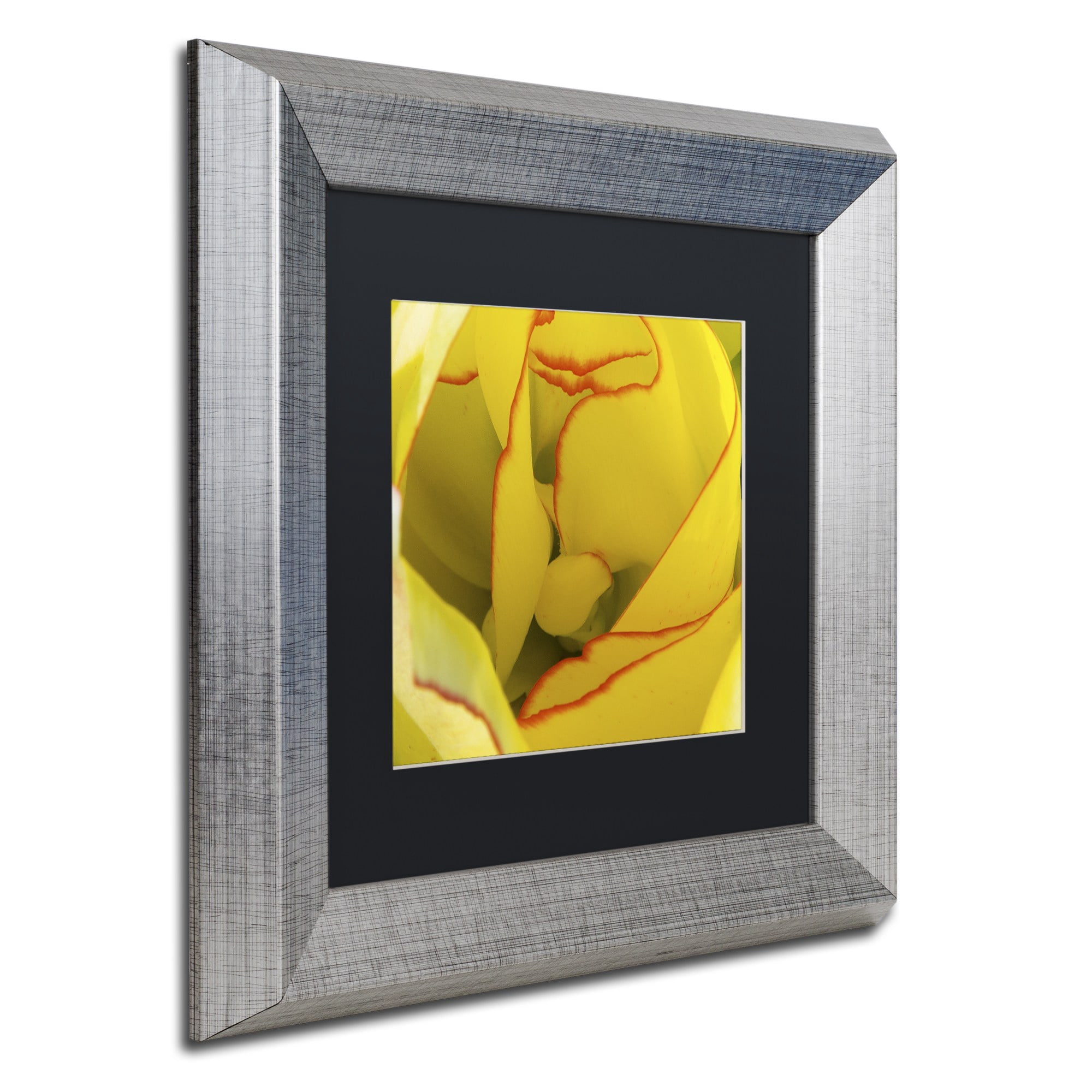 Trademark Fine Art "Inside a Beautiful Tulip" Canvas Art by Kurt Shaffer, Black Matte, Silver Frame