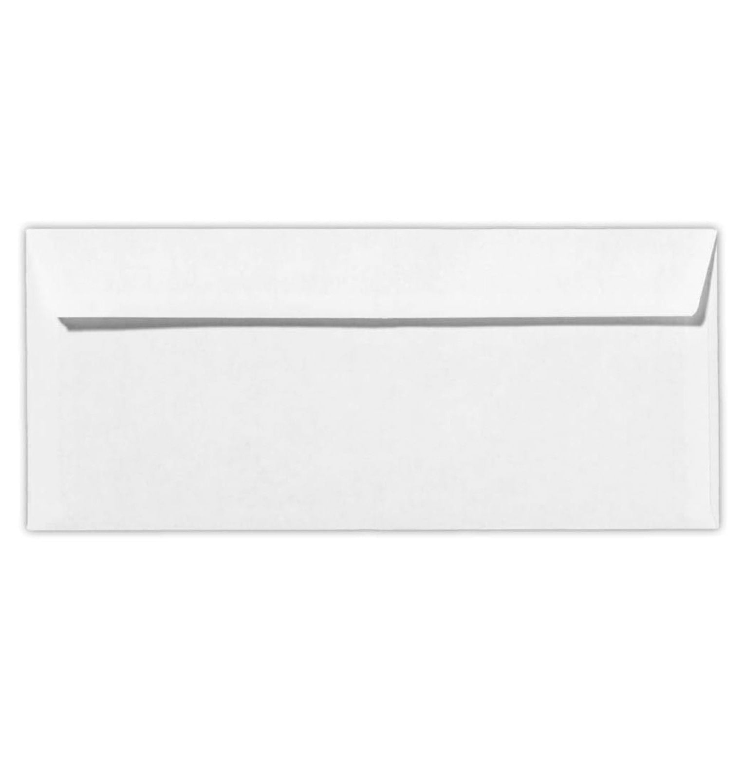 Business Envelopes #10 Double Window | Security Tint | 4 1/8 x 9 1/2 | White 24lb | 250 Pack