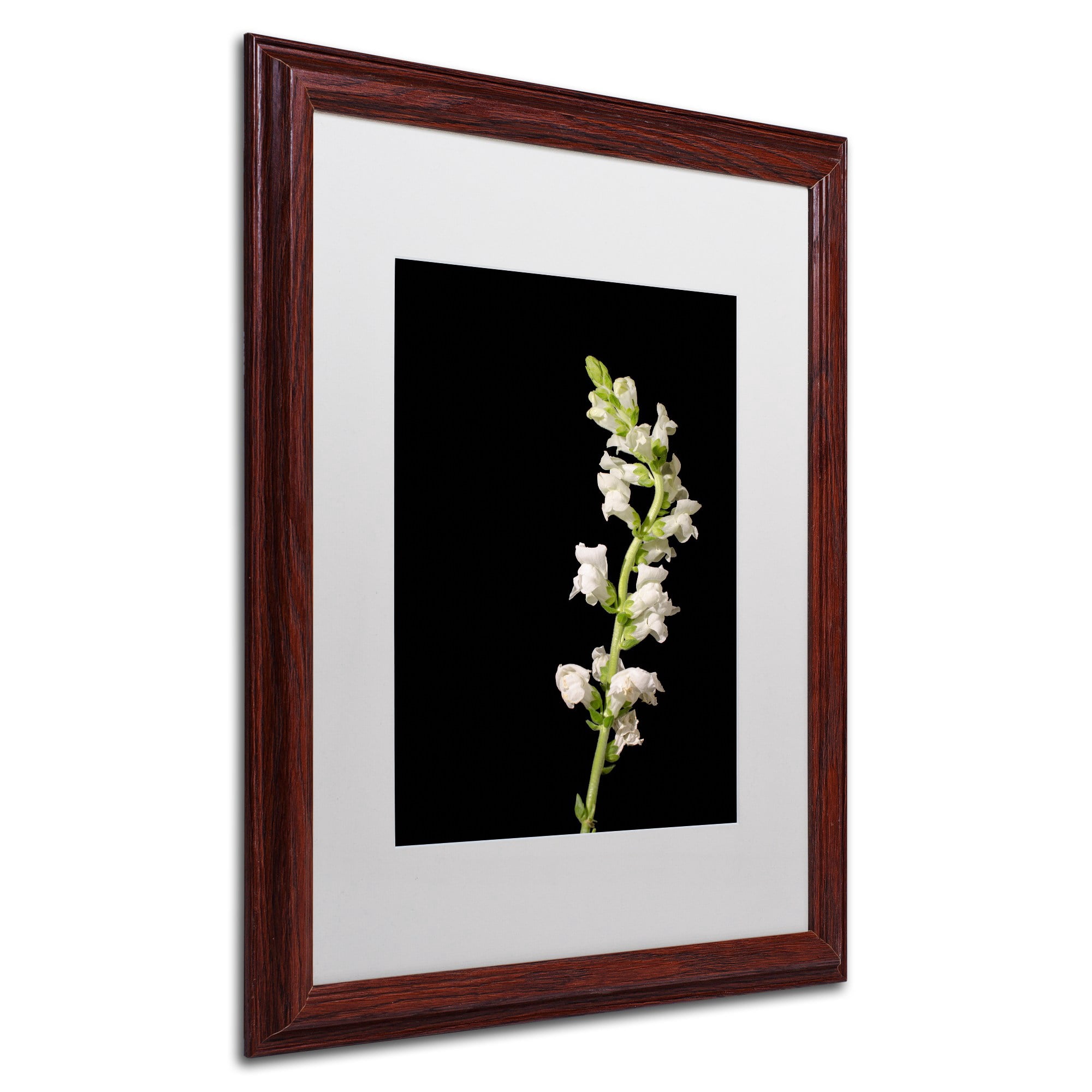Trademark Fine Art 'White Snapdragons' Canvas Art by PIPA Fine Art, Black Matte, Black Frame