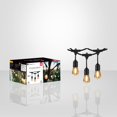 thumbnail image 4 of Xtricity - Outdoor LED String Lights, Waterproof, 48 Feet Long, 2200K Soft White, 4 of 4