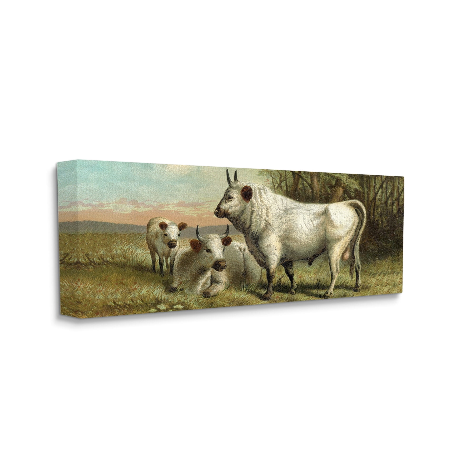 Stupell Industries White Cattle Family Rural Countryside Detailed Painting Painting Gallery Wrapped Canvas Print Wall Art, Design by Daphne Polselli