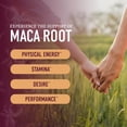 thumbnail image 6 of Maca Root Gummies for Performance & Energy Support | Natural Peach Flavor | High Strength | 60 Ct, 6 of 14