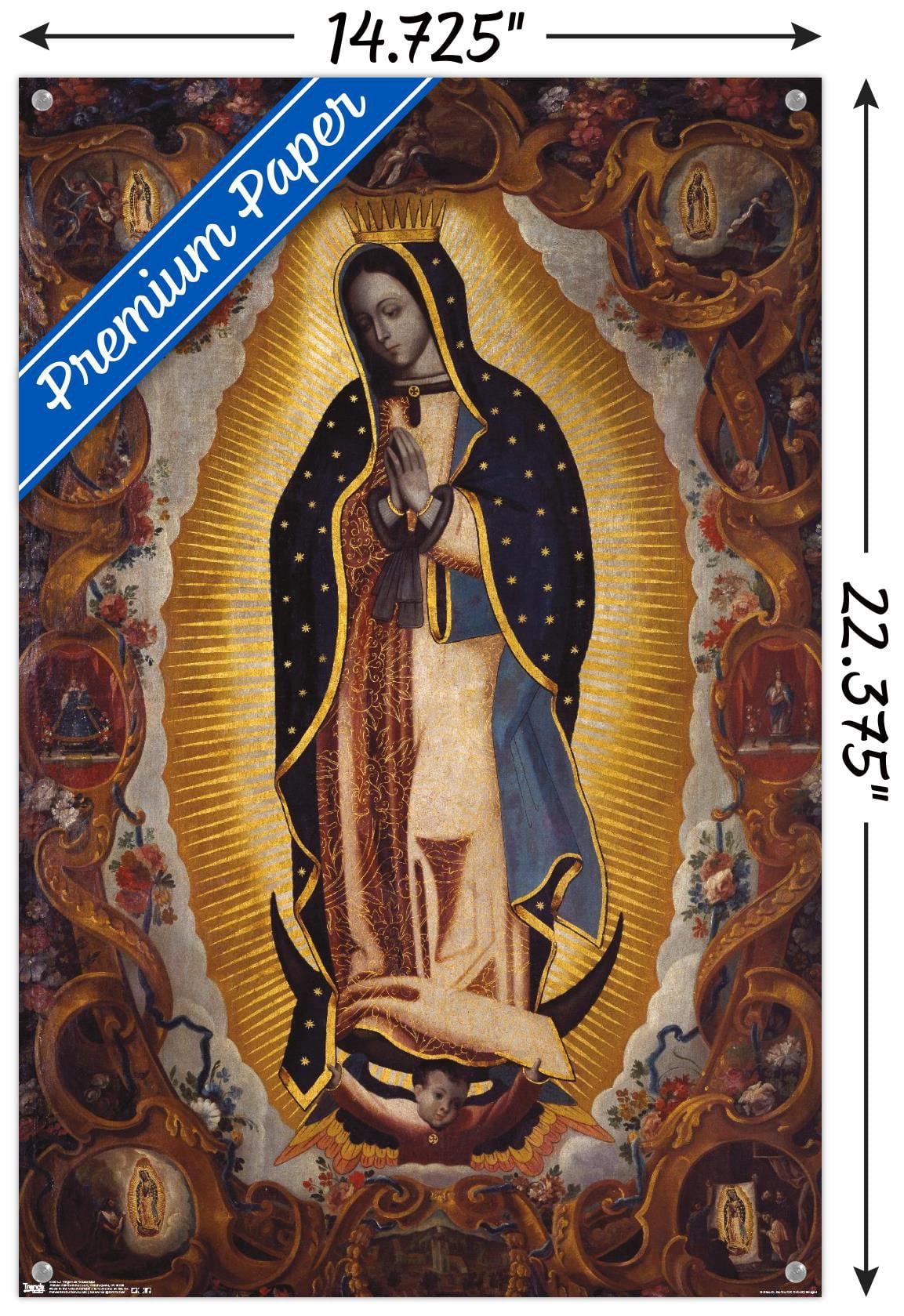 La Virgen De Guadalupe Wall Poster with Push Pins, 14.725" x 22.375"