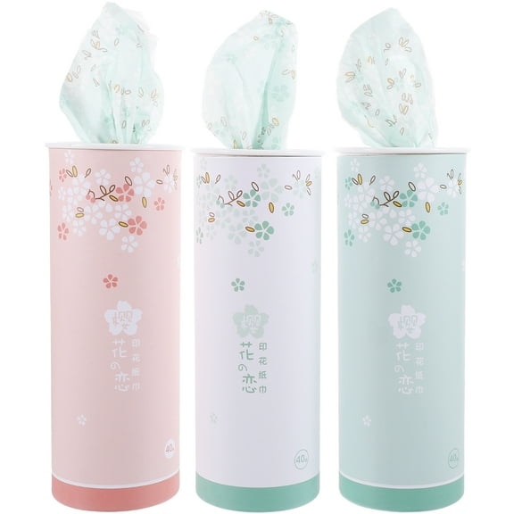 Car Tissues with Lotion & Holder - 3pcs