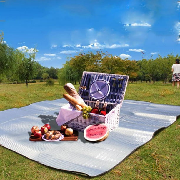 Insulated picnic rug deals