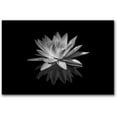 thumbnail image 2 of White Lotus Flower Canvas Print Zen Pictures Wall Art Decor Black and White Floral Painting Decor Frame Ready to Hang (Black and White Lotus Flower - 5, 8"x10"(20x25cm)), 2 of 6