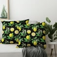 thumbnail image 3 of Lemon Pillow Covers 18 x 18 Inch Summer Black Yellow Throw Pillow Cover Set of 2 Spring Fruit Floral Pillow Case Decorative Cushion Covers for Sofa Couch Car Bedroom Decor, 3 of 6